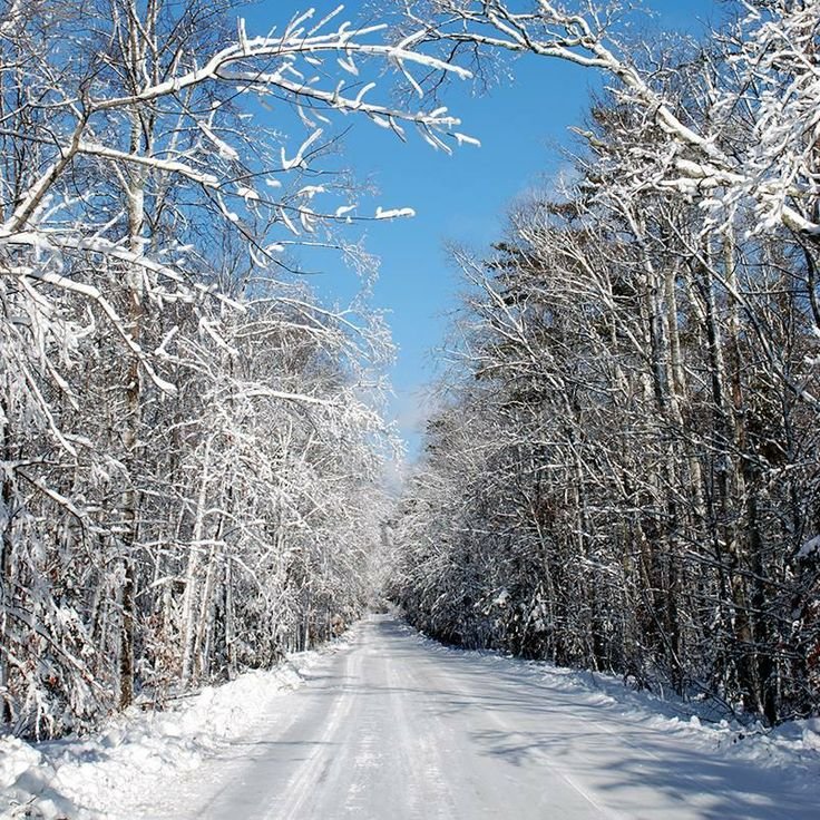 13 Beautiful Winter Drives Around the United States